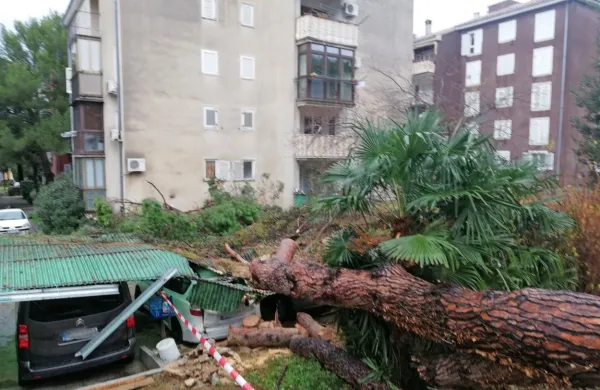 V Izoli je v  Ulici oktobrske revolucije padlo drevo na nadstrešek, ki 
je popustil in  poškodoval tri parkirana vozila.