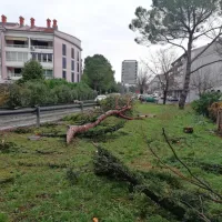 Cesta z Belvederja proti središču Izole