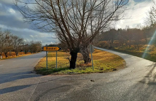 Na Vodicah, kot domačini rečejo zaselku, ki sicer sodi pod  
Grgarske Ravne, se je v nedeljo zvečer zastrupil nemški par.