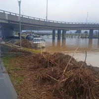 Mandrač ob izlivu Badaševice