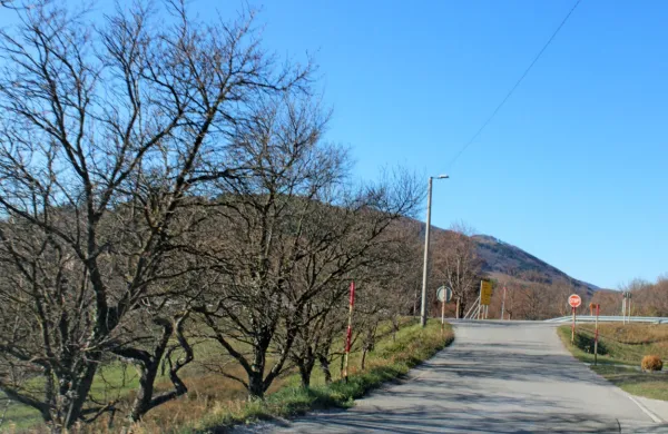 Na Colu naj bi še ta mesec začeli sanacijo 500 metrov dolgega odseka lokalne ceste proti Vodicam.