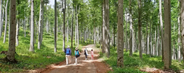 Turisti prihodnosti bodo iskali  vse več  aktivnosti v naravi, kar je 
lahko prednost usmeritve Slovenije v trajnostni, zeleni in butični 
turizem. 