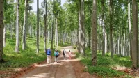 Turisti prihodnosti bodo iskali  vse več  aktivnosti v naravi, kar je 
lahko prednost usmeritve Slovenije v trajnostni, zeleni in butični 
turizem. 