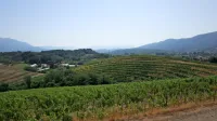 Vrtojbensko-biljenski griči, kjer se na 250 hektarjih raztezajo 
vinogradi, so zanimivi tudi za gorske kolesarje. 