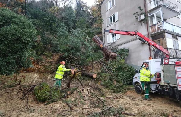 Vse od prejšnje srede izvajajo nujna interventna dela na plazu. Do 
petka bi lahko vzpostavili takšno stanje, da bo mogoče za nekaj 
mesecev počakati na trajno sanacijo, za katero pripravljajo 
dokumentacijo.