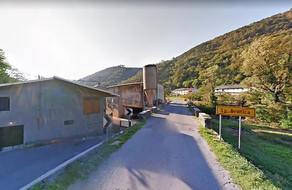V piščančji farmi v Spodnji Branici je neznanec izklopil elektriko v 
dveh halah, kjer se je nato zadušilo več tisoč piščancev.