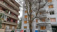 Eden od argumentov je bil, da je treba posekati drevo, sicer ne morejo obnoviti fasade. Drevo še stoji, 
fasado pa so medtem kljub temu že obnovili ...  