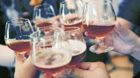 Alkohol in druge psihoaktivne snovi bistveno  zmanjšujejo  sposobnosti  za  vožnjo.