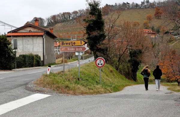 Za bodočo obvoznico bodo  najprej naredili rondo  namesto odcepa 
za Brestje.