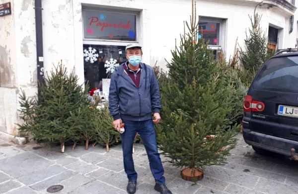 Franc Marn- Frenk iz Ribnice  že 40 let  prihaja v Piran s svojimi 
jelkami.  