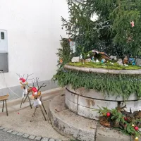 Jaslice na Bregu imajo tudi jelenčke. 
