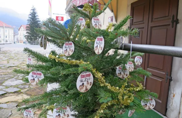 Dvanajst smrečic tvori nagradno Pot idrijskih legend in zgodb (na 
fotografiji “okrasna” naslovnica sveže plošče z uspešnicami  
Kuzel). 