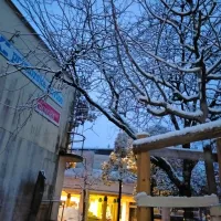 Nova Gorica