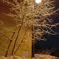 Nova Gorica