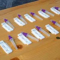 V Sežani pozitivnih 42, v Pivki sedem