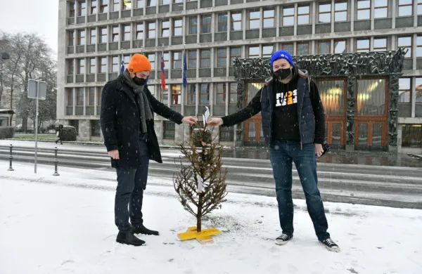 Predstavniki ŠOS so  pred parlamentom postavili smrečico, 
okrašeno s položnicami, s čimer opozarjajo na po njihovem 
nezadostne ukrepe za mlade v protikoronskih zakonih.