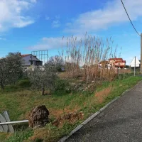 Nova in stara razdejanja