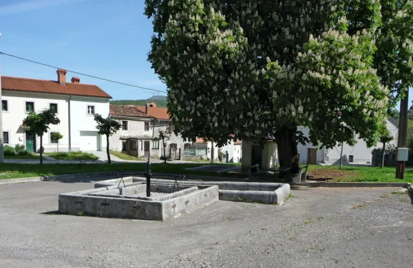 V Senožečah bodo s 5500 evri iz  participativnega proračuna 
obnovili zgornje (na fotografiji) in spodnje kamnito korito.  