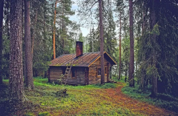 Fotografija je simbolična. (Foto vir: pixabay.com)