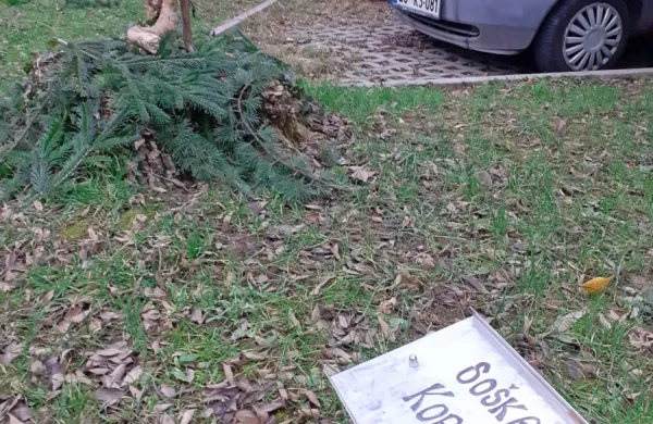Bogatej&scaron;i za novo vrsto