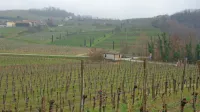 Po slabem letu dni je v izrednih razmerah zaradi covid-19 znova 
aktualno vprašanje prestopanja meje za dvolastnike.   