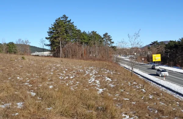 Parkirišče za tovornjake bi vlagatelj uredil na zemljišču med 
glavno cesto in avtocesto pri Petrolovi črpalki. Na zgornji strani (za 
borovimi drevesi) je gostilna Burja in podjetje Reja transport.