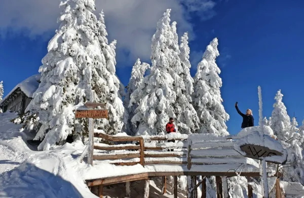 Velika planina