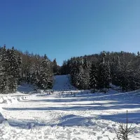 Pravljični zimski dan za otroke in rekreativce na Svi&scaron;čakih