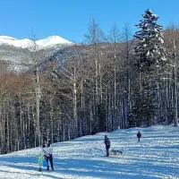 Pravljični zimski dan za otroke in rekreativce na Svi&scaron;čakih