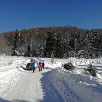 Pravljični zimski dan za otroke in rekreativce na Svi&scaron;čakih