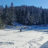 Pravljični zimski dan za otroke in rekreativce na Svi&scaron;čakih