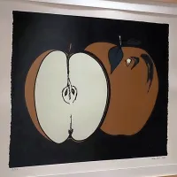 Od kra&scaron;kega kamna do računalnika
