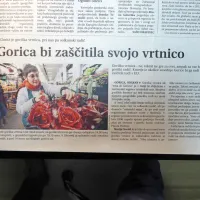 Kmetje iz okolice Gorice so na ravni EU želeli geografsko zaščititi 
radič goriška vrtnica, pri nas znan kot solkanski radič oziroma 
“sukenski regut”.
