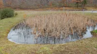 Kali so, tako kot lagune, podzemna in druga mokrišča ledvica 
pokrajine.