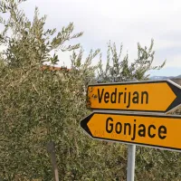 Vedrijan ob trtah obkroža tudi veliko oljčnikov in sadovnjakov.