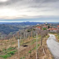 Briški pogledi dosežejo oddaljena obzorja.