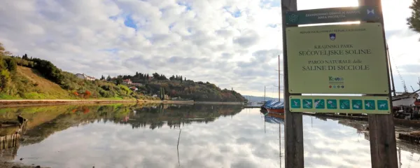 Območje Sečoveljskih solin in polotoka Seča je piranska občina 
leta 1990 z odlokom zavarovala in razglasila Krajinski park 
Sečoveljske soline.   