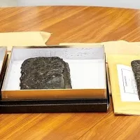 Po pregledu zaseženih  starodavnih listin je madžarski sodni izvedenec ugotovil, da  so nekatere strani pristne in imajo 
neprecenljivo vrednost.