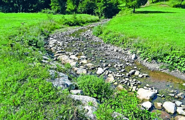 Takšna je struga Suhorice poleti. A njen srednji pretok naj bi znašal 
0,371 kubičnega metra na sekundo, so izračunali. Če bi zajeli vso 
vodo, bi zagotovili 11,7 milijona kubičnih metrov vode na leto.    