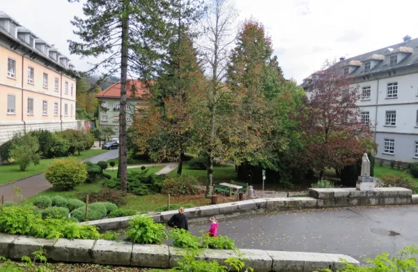 Ustvarjalci prve in odmevne oporečniške revije Kaplje so  zbrali 
670 podpisov za pobudo o poimenovanju Psihiatrične bolnišnice 
Idrija po preminulemu primariju dr. Jožetu Felcu.