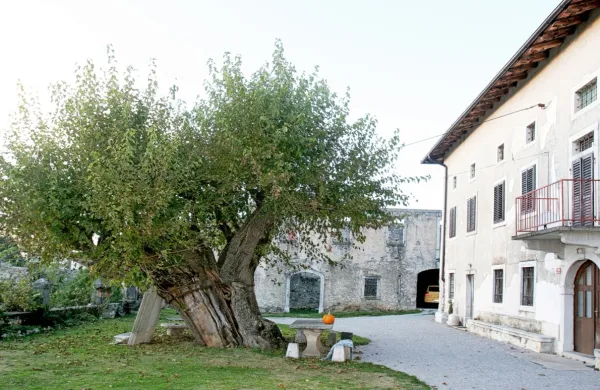 Dvanajst spletnih turističnih izletov
