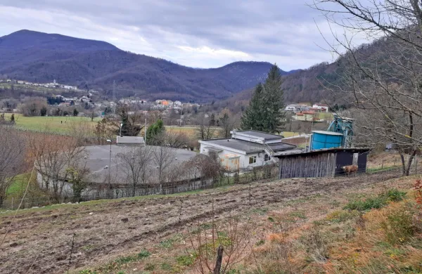 Po lanskem onesnaženju pitne vode na črpališču Močila so npr. 
ugotovili, da je imelo črpališče le dovoljenje za črpanje tehnične 
vode, poteklo pa je konec lanskega leta.