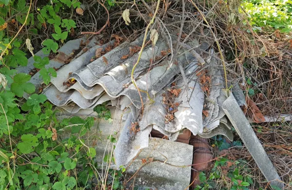 S širitvijo akcije na celotno območje Mestne občine Koper želi 
občina zmanjšati število “črnega” odlaganja nevarnih azbestnih 
odpadkov v naravi in postati občina brez azbesta.