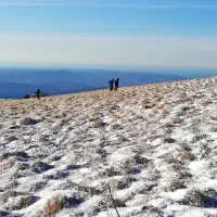 Kako se reče po domače? Če ne ve&scaron;, izberi tujko!