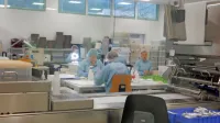   TIK zaposluje 143 domačinov, od tega je tri četrtine žensk.