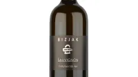 Sauvignon (Bizjak)