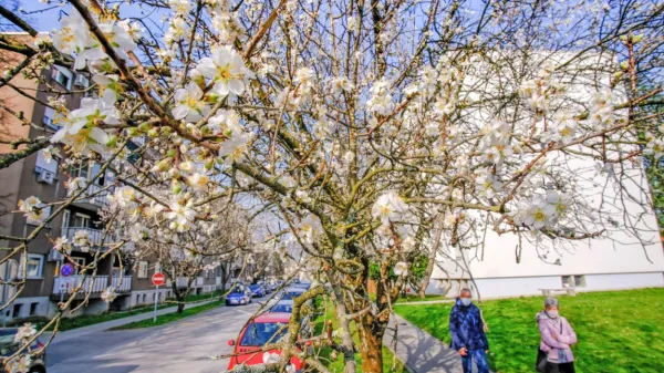 Primorsko jutri čaka najtoplej&scaron;i dan doslej