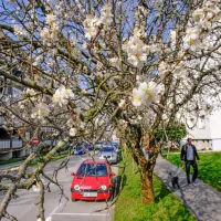 Primorsko jutri čaka najtoplej&scaron;i dan doslej