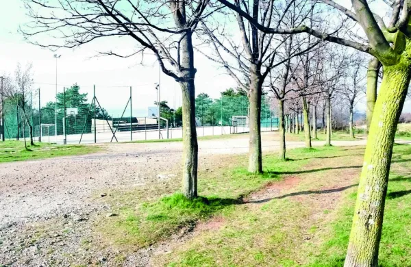 Letos bodo urejali kamp