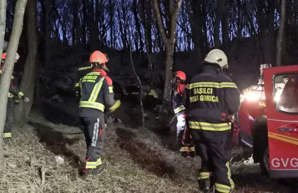 Požar v gozdu je v četrtek gasilo 22 gasilcev.